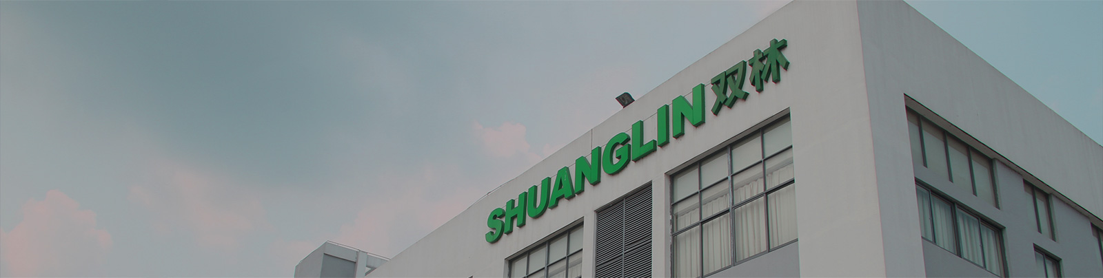 环亚集团集团站群